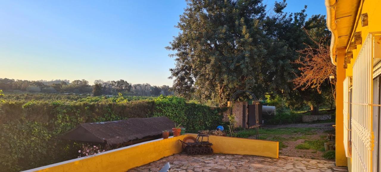 فيلا La Alqueria San Martín المظهر الخارجي الصورة