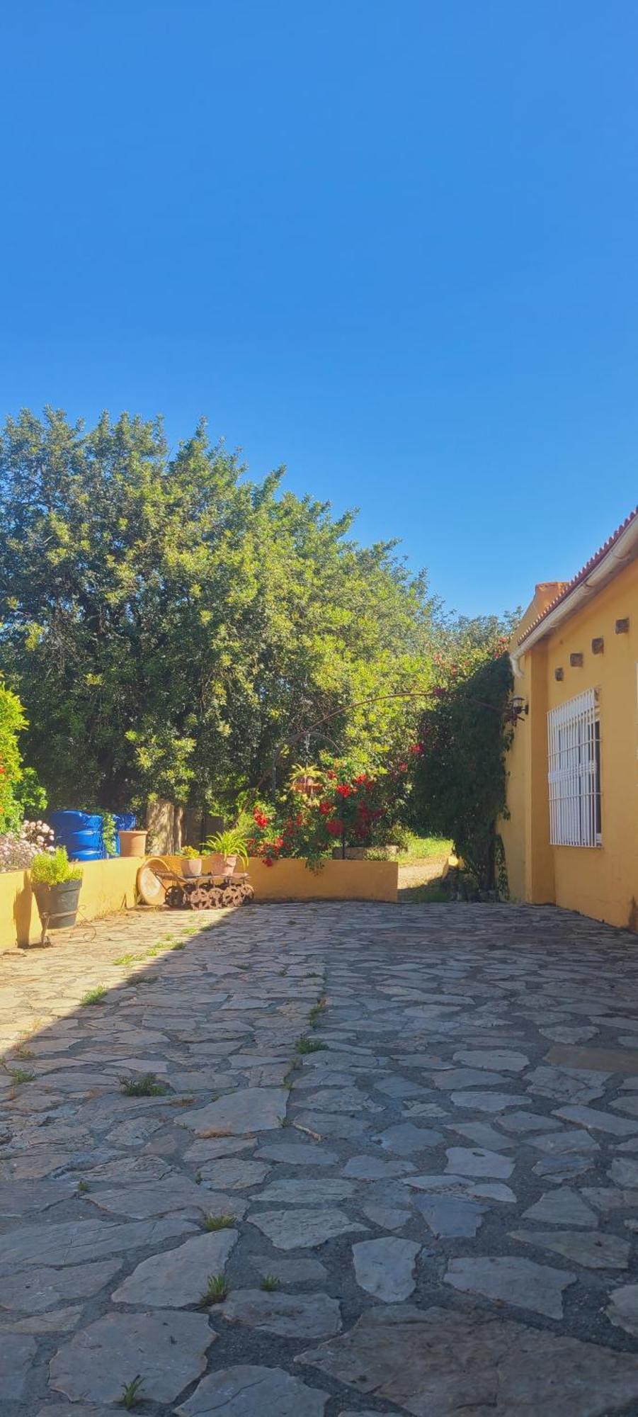 فيلا La Alqueria San Martín المظهر الخارجي الصورة